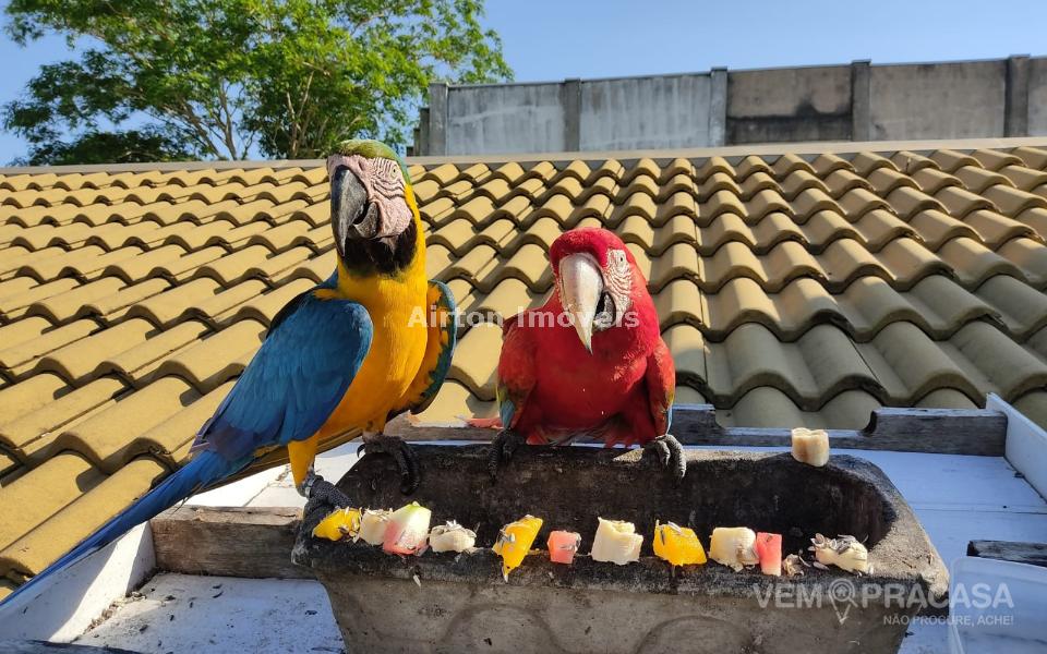 Pousada à venda na Vila Donaria, Bonito – foto 13