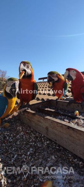 Pousada à venda na Vila Donaria, Bonito – foto 16