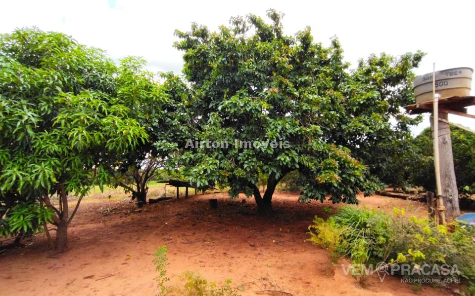 Chácara à venda no Zona Rural, Jaraguari – foto 5