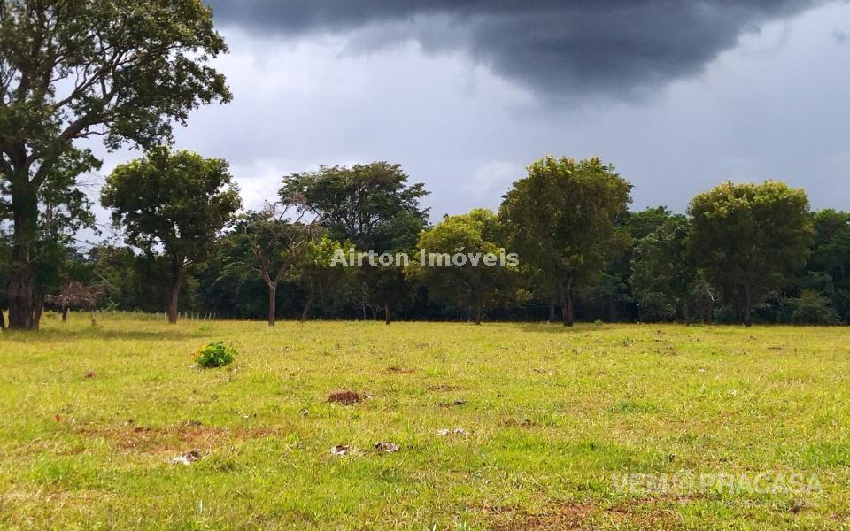 Chácara à venda no Zona Rural, Jaraguari – foto 11