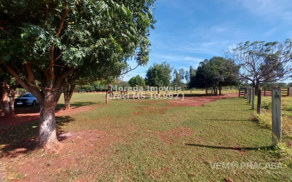 Casa Térrea à venda no Centro, Campo Grande – foto 7