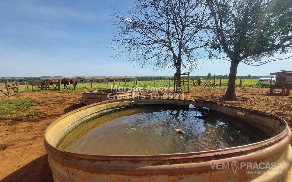 Casa Térrea à venda no Centro, Campo Grande – foto 8
