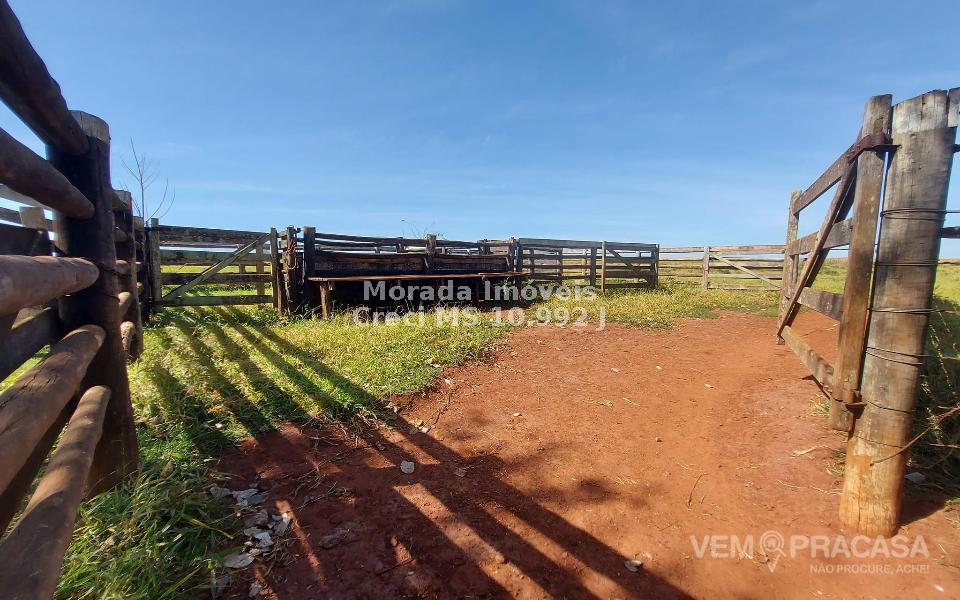 Casa Térrea à venda no Centro, Campo Grande – foto 9