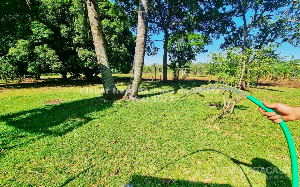 Chácara à venda no Zona Rural, Rochedinho (Campo Grande) – foto 11