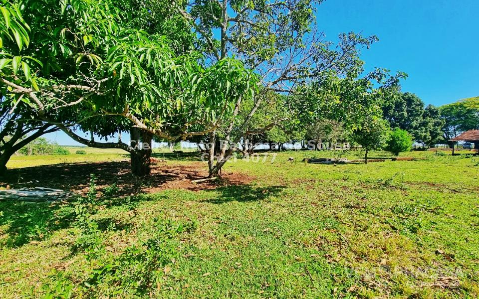 Chácara à venda no Zona Rural, Rochedinho (Campo Grande) – foto 13