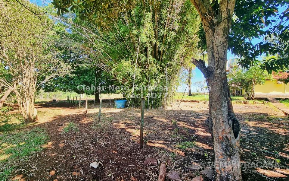 Chácara à venda no Zona Rural, Rochedinho (Campo Grande) – foto 14