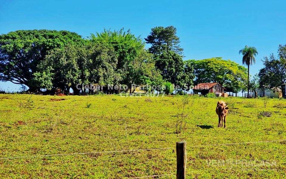 Chácara à venda no Zona Rural, Rochedinho (Campo Grande) – foto 15