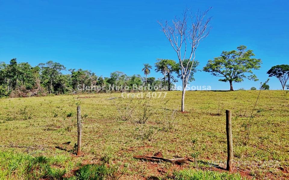 Chácara à venda no Zona Rural, Rochedinho (Campo Grande) – foto 16