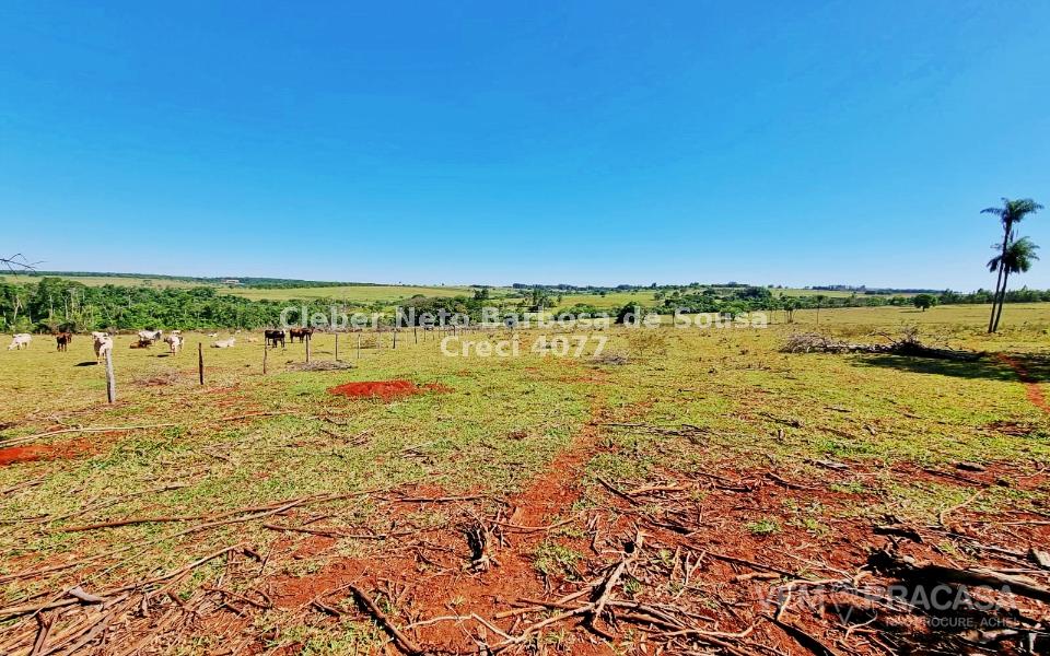 Chácara à venda no Zona Rural, Rochedinho (Campo Grande) – foto 17