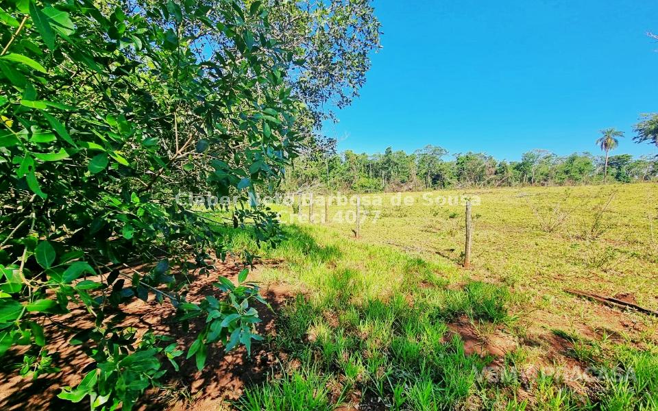 Chácara à venda no Zona Rural, Rochedinho (Campo Grande) – foto 18