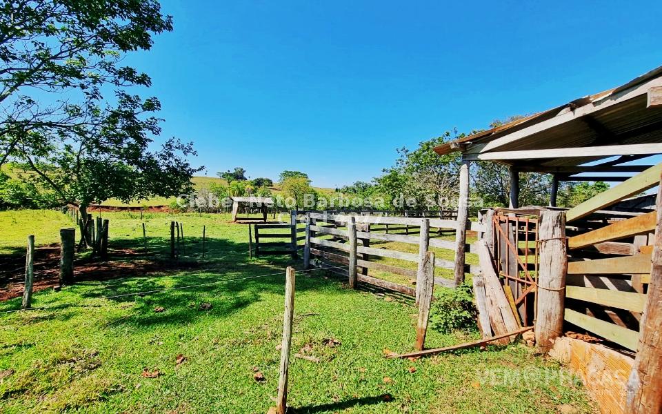 Chácara à venda no Zona Rural, Rochedinho (Campo Grande) – foto 30