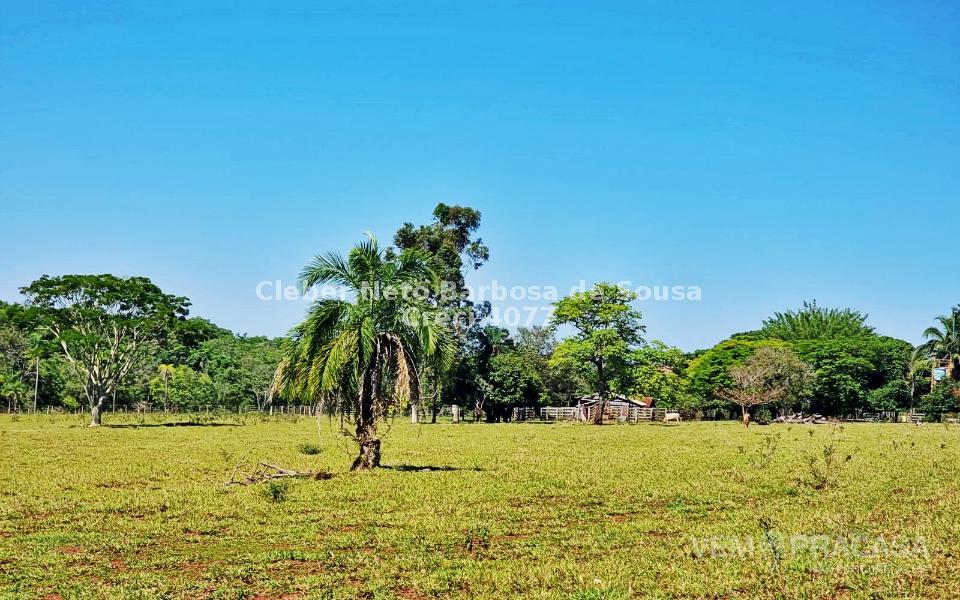 Chácara à venda no Zona Rural, Rochedinho (Campo Grande) – foto 33
