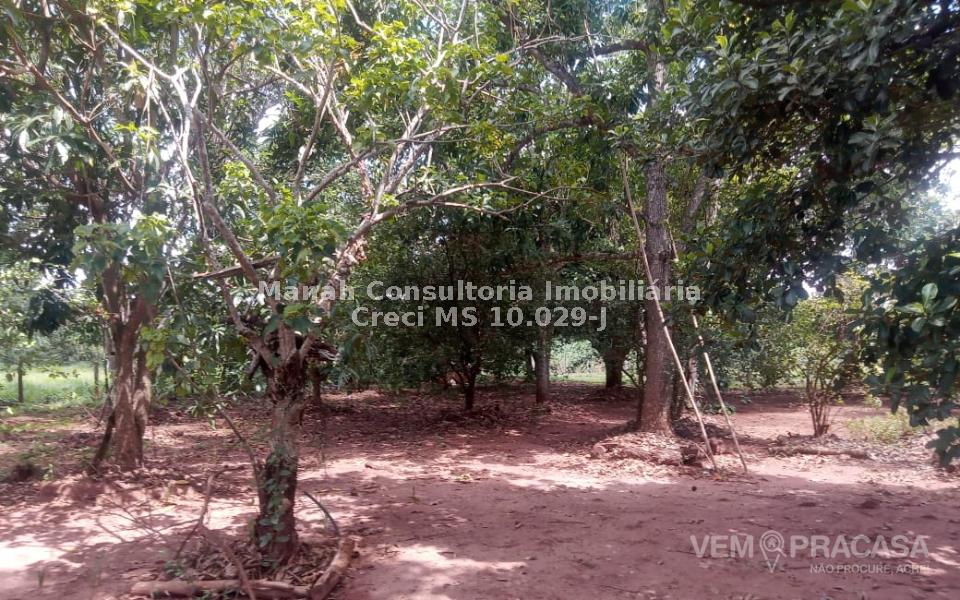Chácara à venda no Centro, Sidrolândia – foto 28