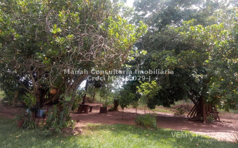 Chácara à venda no Centro, Sidrolândia – foto 32