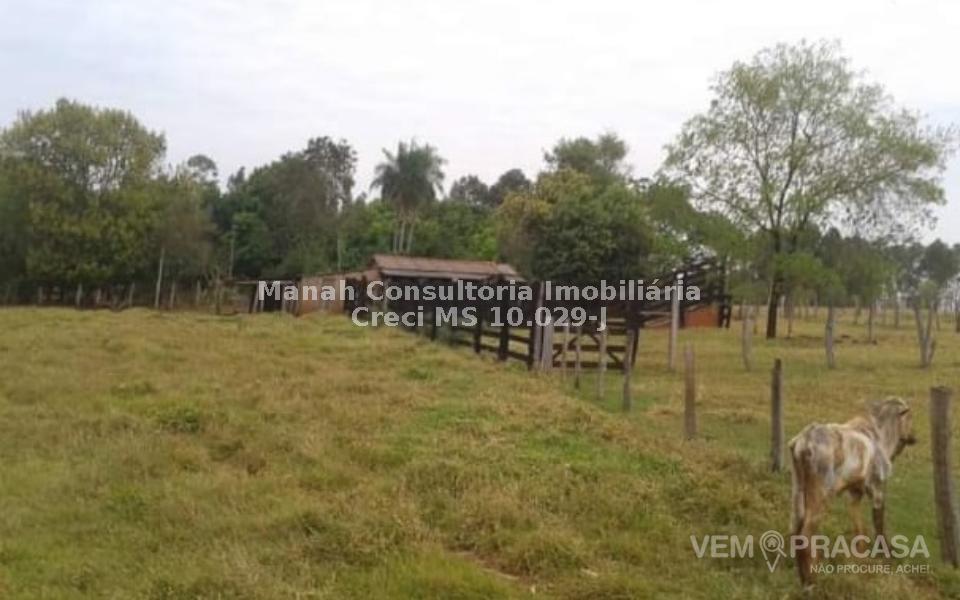 Chácara à venda no Centro, Sidrolândia – foto 8