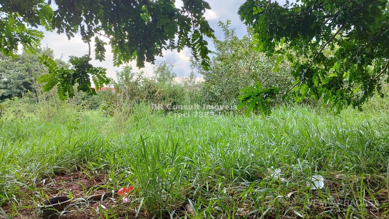 Terreno para lançamento no Jardim Centenário, Campo Grande – foto 9