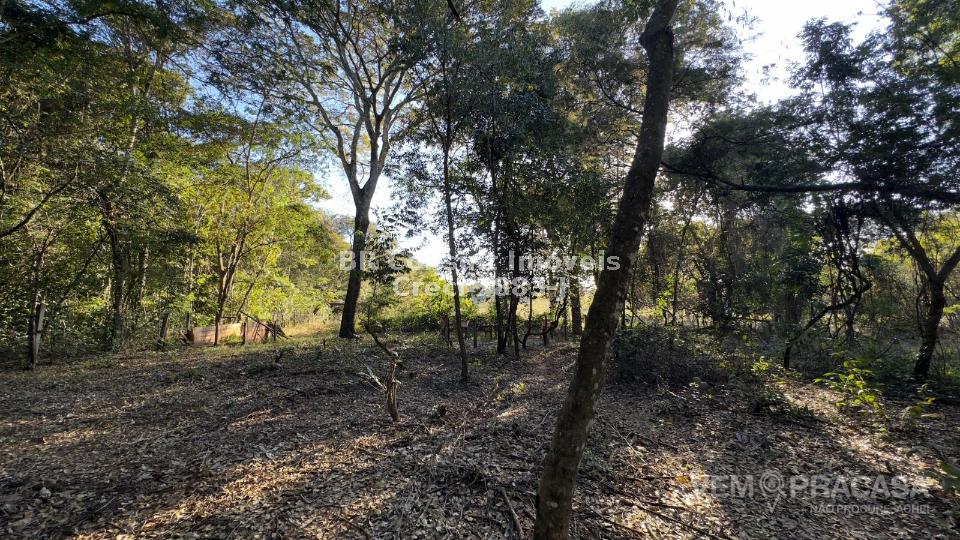 Chácara à venda no Área Rural de Campo Grande, Campo Grande – foto 4
