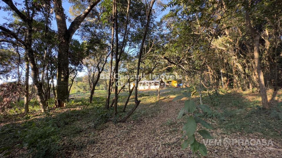 Chácara à venda no Área Rural de Campo Grande, Campo Grande – foto 5
