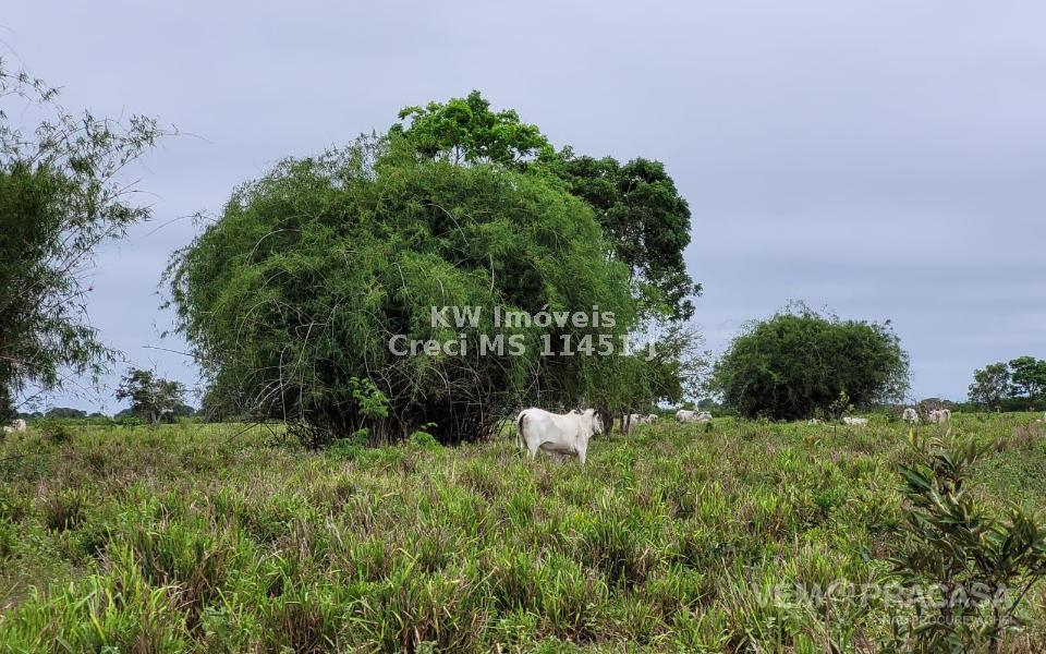 Fazenda à venda no Centro, Santo Antônio do Leverger – foto 4