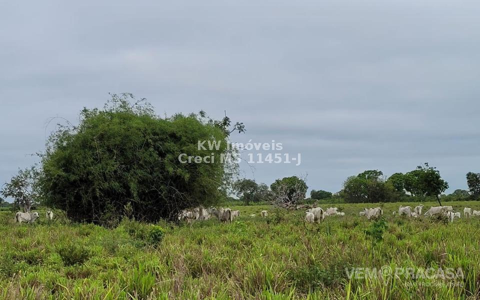 Fazenda à venda no Centro, Santo Antônio do Leverger – foto 5