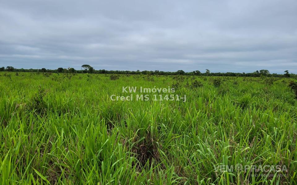 Fazenda à venda no Centro, Santo Antônio do Leverger – foto 6