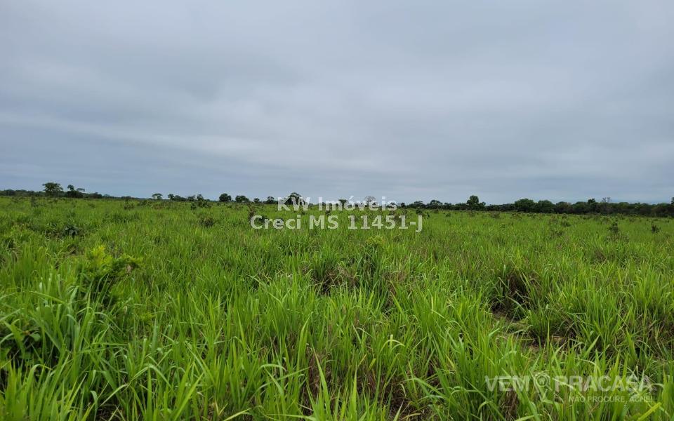 Fazenda à venda no Centro, Santo Antônio do Leverger – foto 9