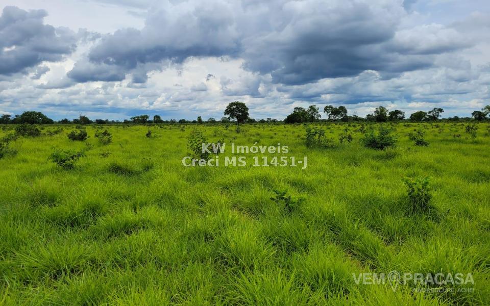 Fazenda à venda no Centro, Santo Antônio do Leverger – foto 12