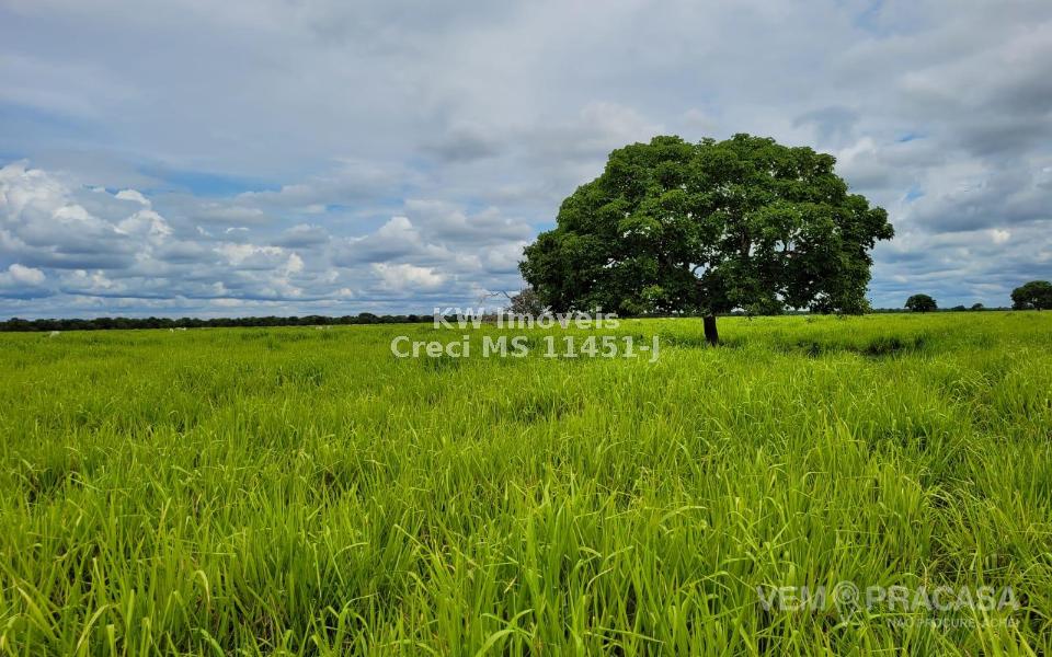 Fazenda à venda no Centro, Santo Antônio do Leverger – foto 13