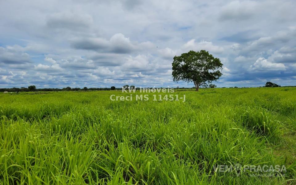 Fazenda à venda no Centro, Santo Antônio do Leverger – foto 15
