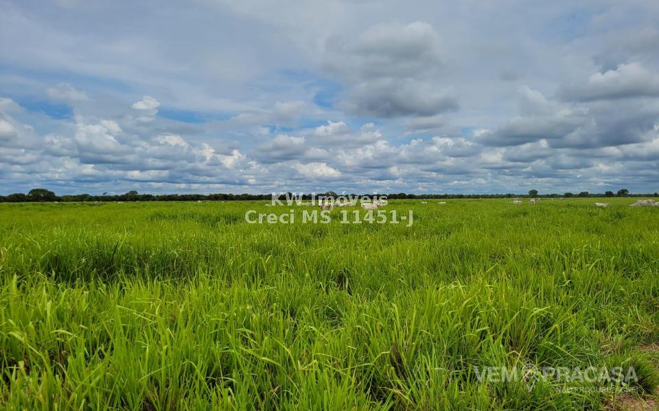 Fazenda à venda no Centro, Santo Antônio do Leverger – foto 16