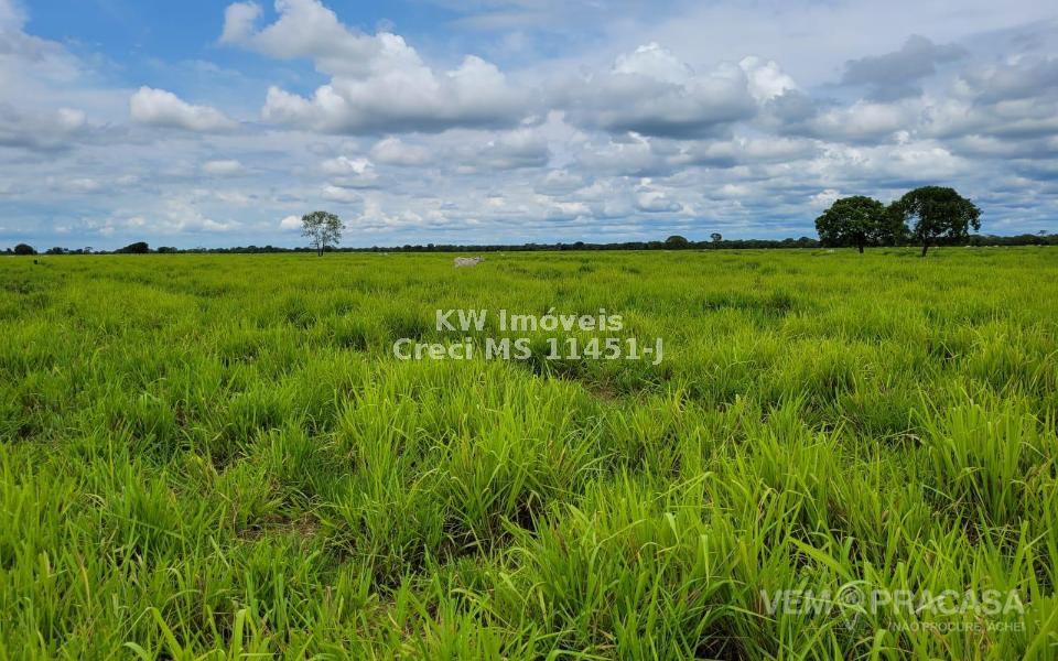 Fazenda à venda no Centro, Santo Antônio do Leverger – foto 17