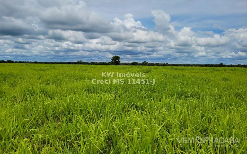Fazenda à venda no Centro, Santo Antônio do Leverger – foto 18