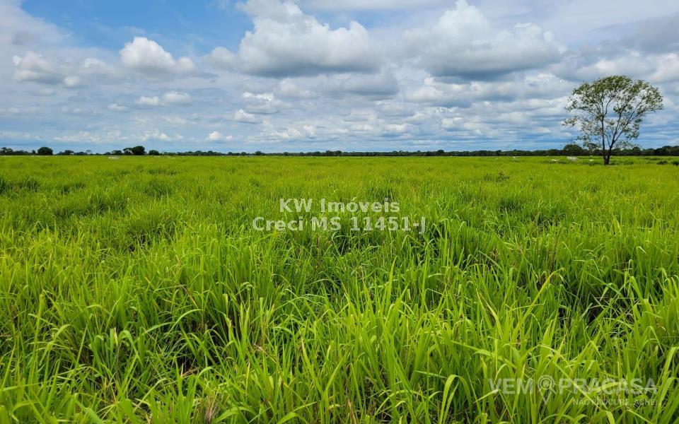 Fazenda à venda no Centro, Santo Antônio do Leverger – foto 19