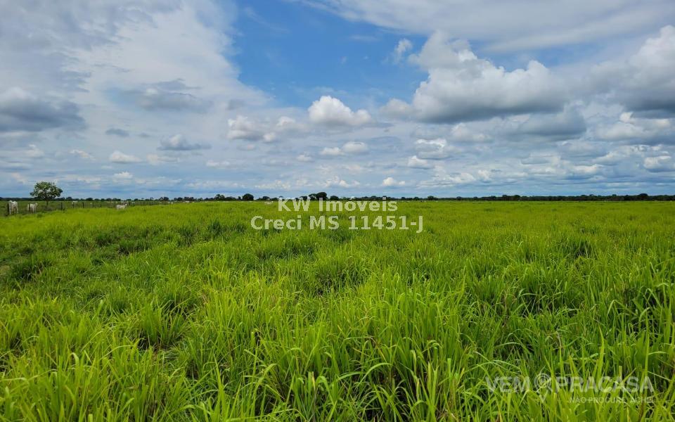 Fazenda à venda no Centro, Santo Antônio do Leverger – foto 20