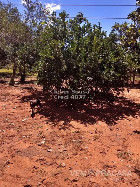 Chácara à venda no Zona Rural, Corguinho – foto 20