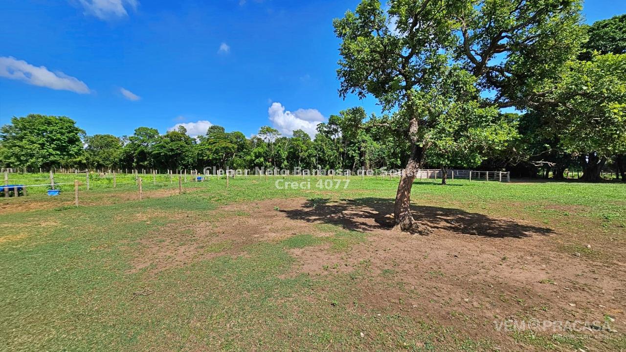 Haras à venda no Área Rural de Campo Grande, Campo Grande – foto 31