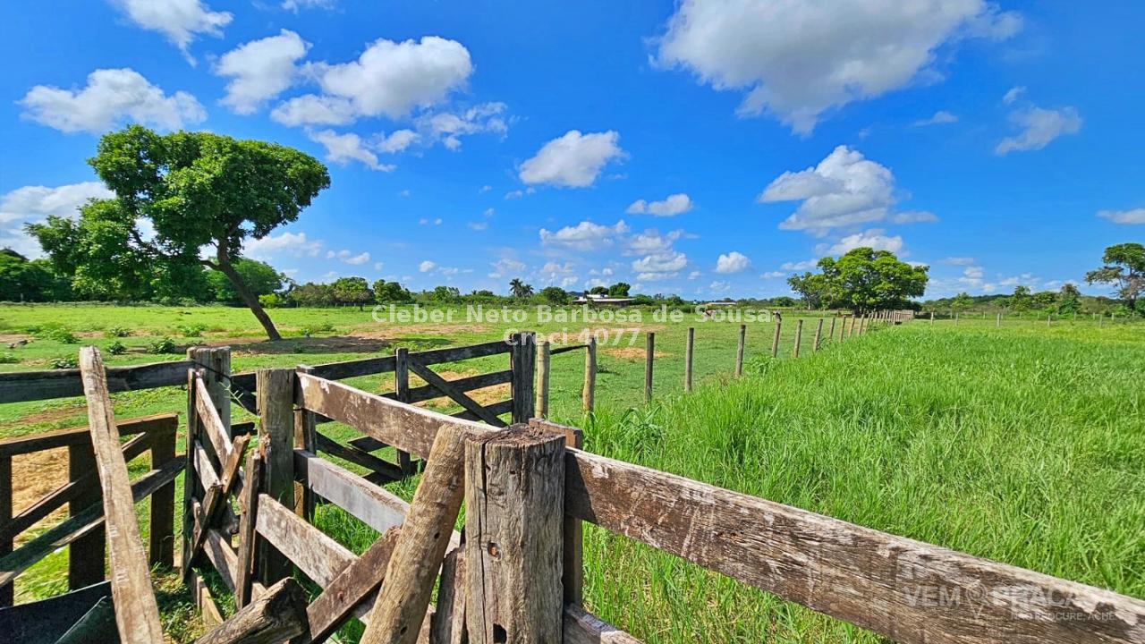 Haras à venda no Área Rural de Campo Grande, Campo Grande – foto 32