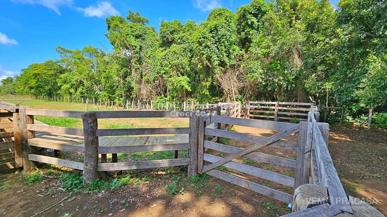 Haras à venda no Área Rural de Campo Grande, Campo Grande – foto 33