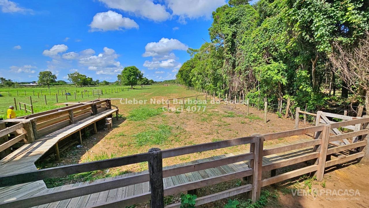 Haras à venda no Área Rural de Campo Grande, Campo Grande – foto 35