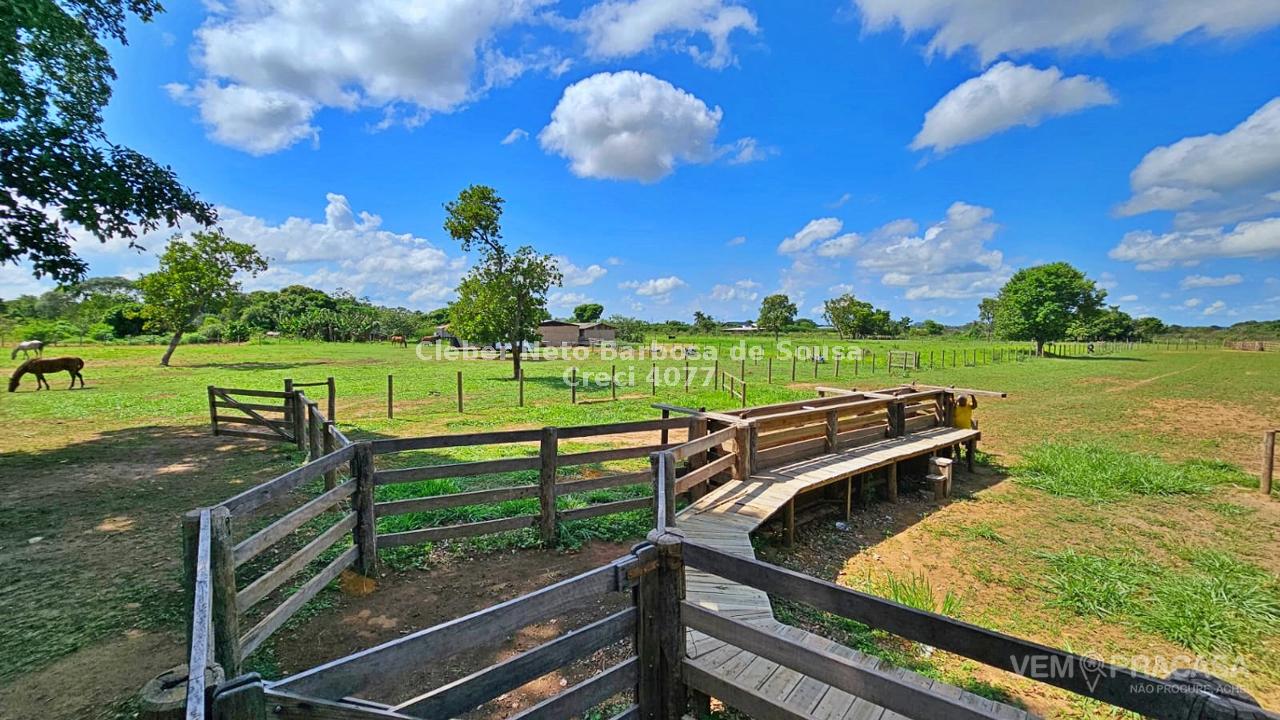 Haras à venda no Área Rural de Campo Grande, Campo Grande – foto 22