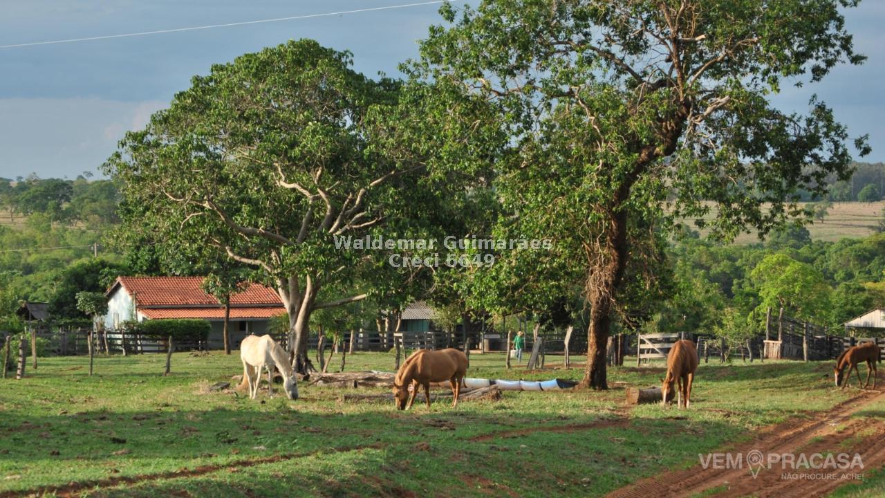 Fazenda à venda no Zona Rural, Figueirão – foto 1