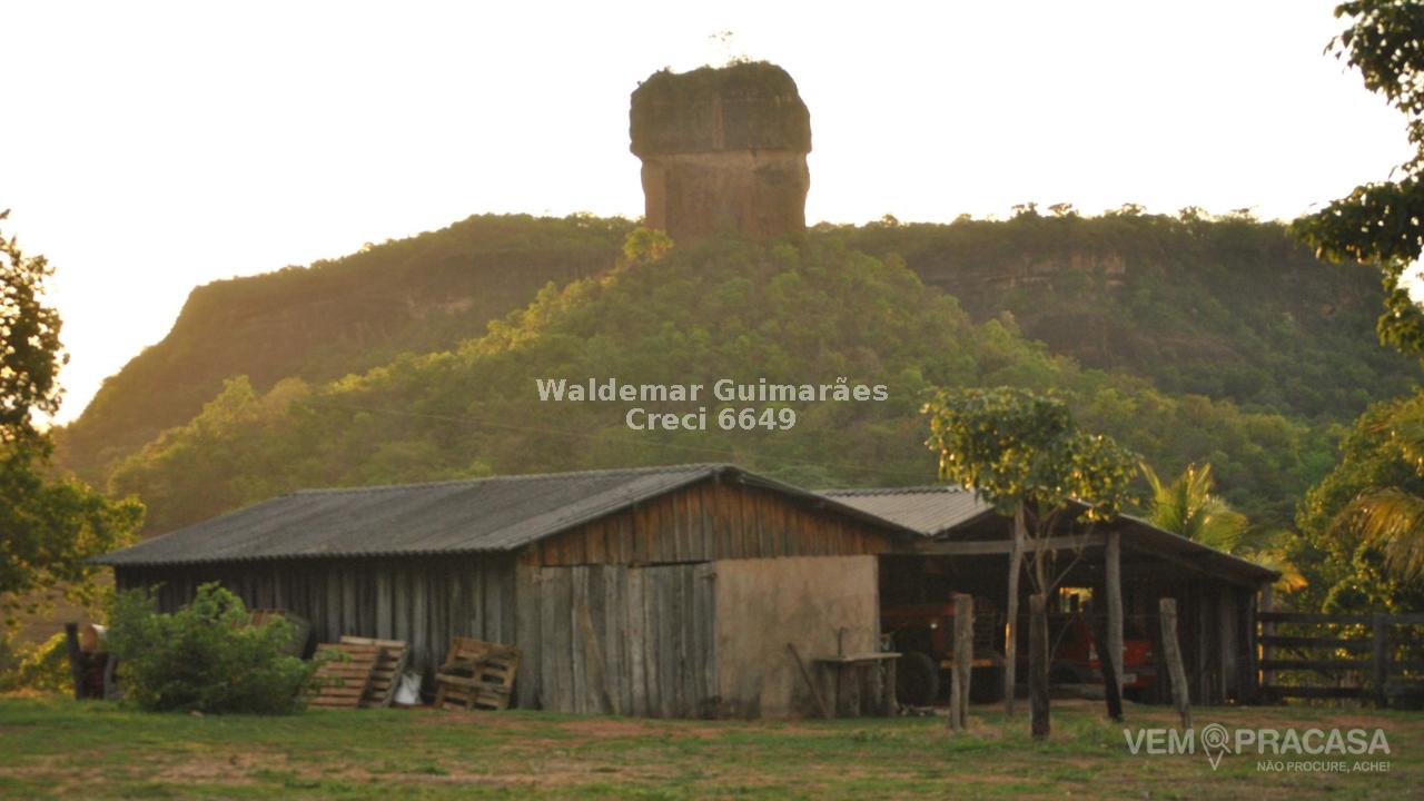 Fazenda à venda no Zona Rural, Figueirão – foto 3