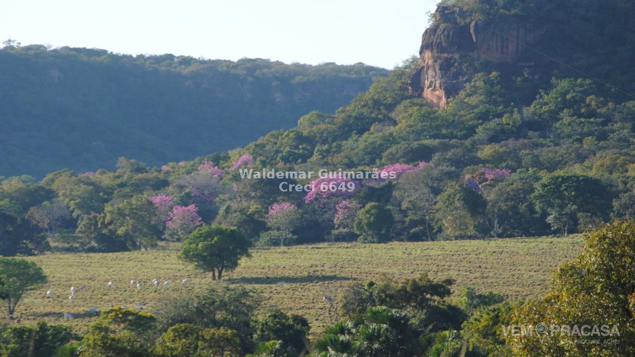 Fazenda à venda no Zona Rural, Figueirão – foto 5