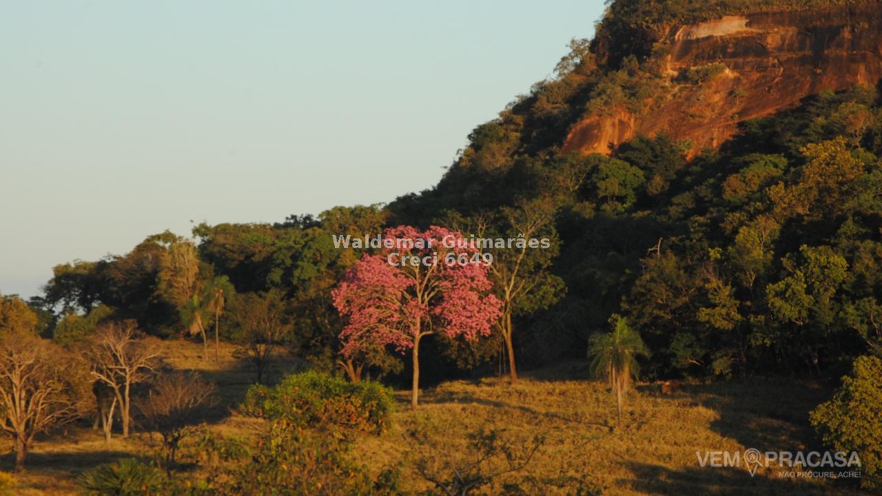 Fazenda à venda no Zona Rural, Figueirão – foto 6
