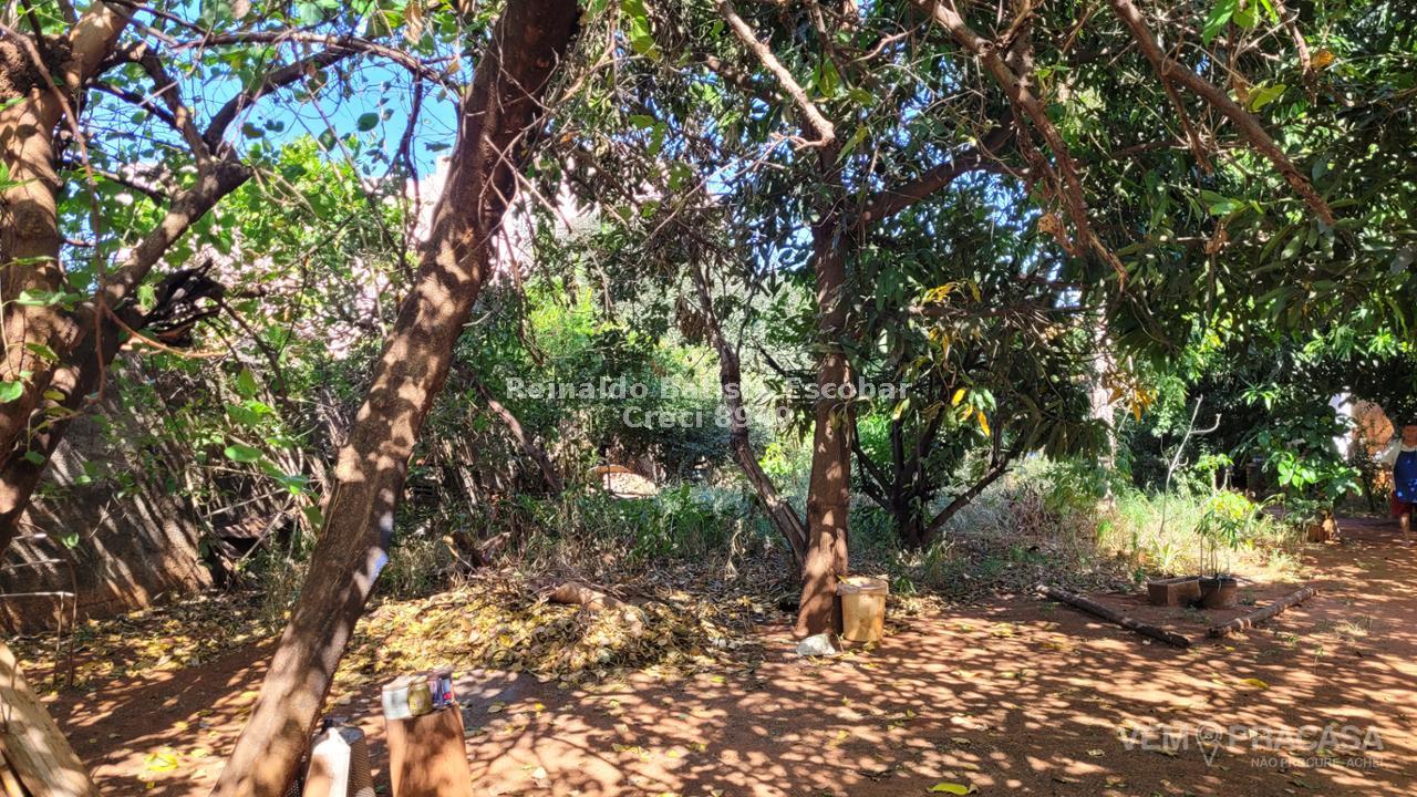 Imóvel comercial à venda no Amambaí, Campo Grande – foto 5