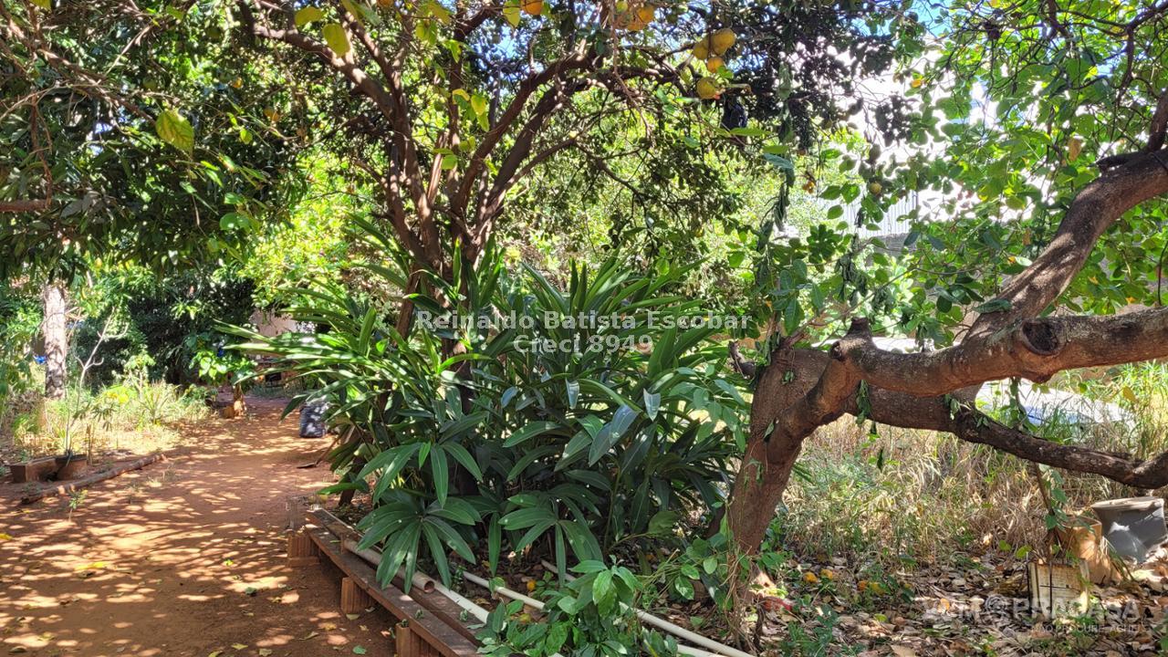 Imóvel comercial à venda no Amambaí, Campo Grande – foto 7