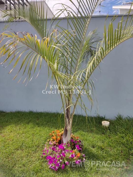 Casa Térrea à venda na Vila Morumbi, Campo Grande – foto 12
