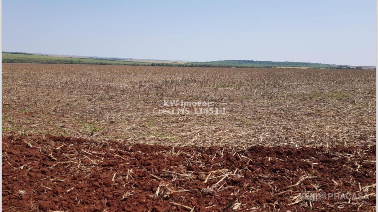 Fazenda à venda no Zona Rural, Maracaju – foto 5