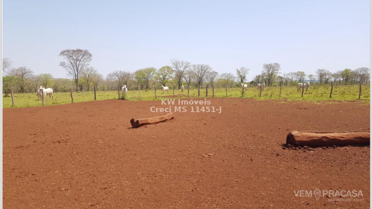 Fazenda à venda no Zona Rural, Maracaju – foto 7