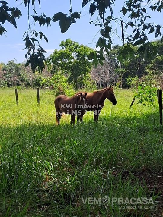 Terreno à venda no Zona Rural, Jaraguari – foto 5
